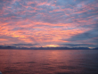 am Morgen unserer Ankunft auf Chiloe